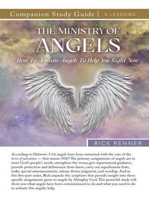 cover image of The Ministry of Angels Study Guide